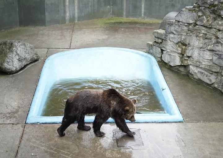 Wild- Und Freizeitpark